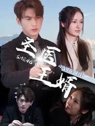 圣医王婿