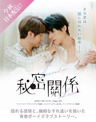 秘密关系台版