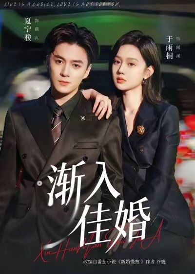 渐入佳婚3