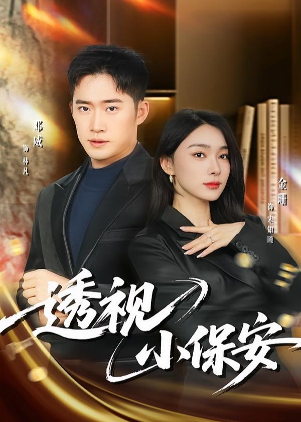 透视小保安