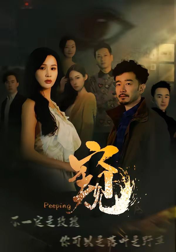 窥窥伺